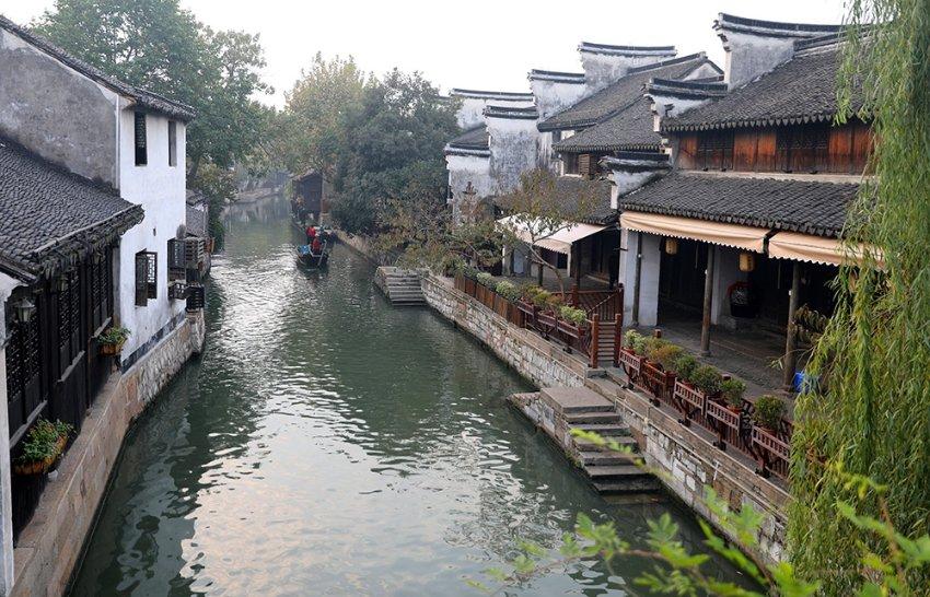 森系丛林